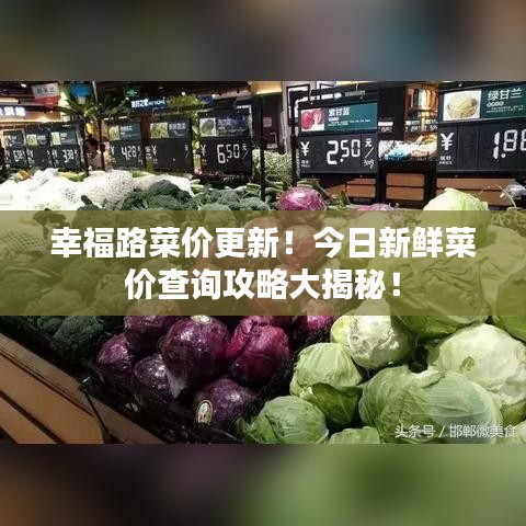 幸福路菜價(jià)更新！今日新鮮菜價(jià)查詢攻略大揭秘！