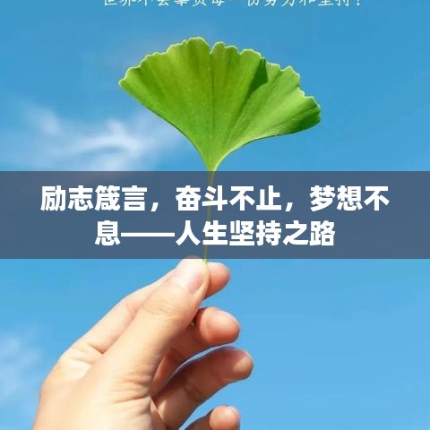 2025年6月11日 第16頁