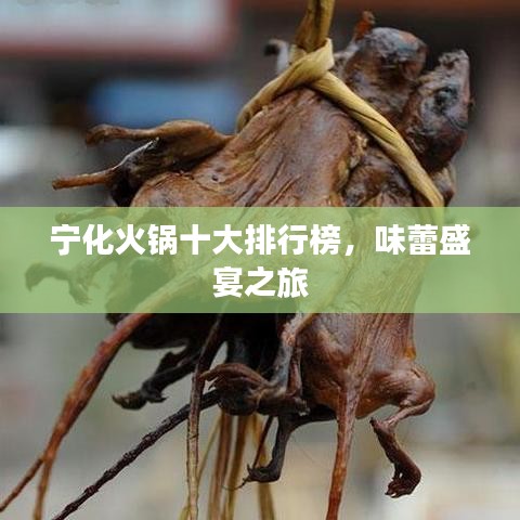 寧化火鍋十大排行榜，味蕾盛宴之旅
