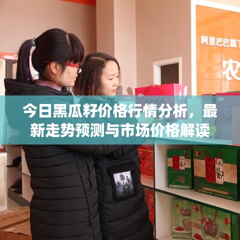 今日黑瓜籽價(jià)格行情分析，最新走勢(shì)預(yù)測(cè)與市場(chǎng)價(jià)格解讀