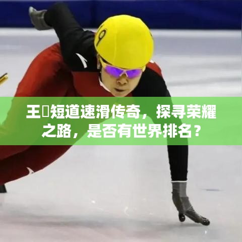 王濛短道速滑傳奇，探尋榮耀之路，是否有世界排名？