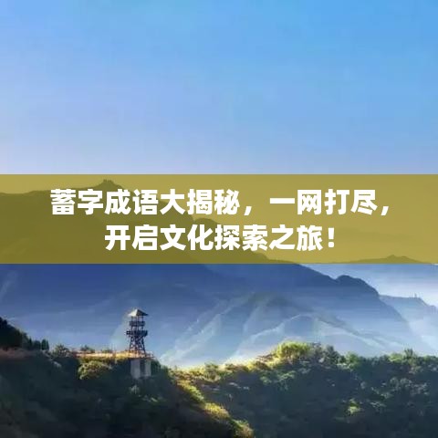 蓄字成語大揭秘，一網(wǎng)打盡，開啟文化探索之旅！