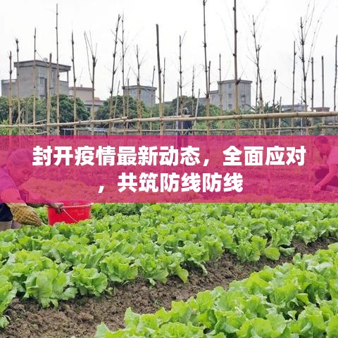 2025年6月11日 第12頁
