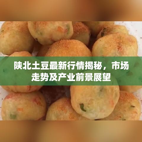 陜北土豆最新行情揭秘，市場(chǎng)走勢(shì)及產(chǎn)業(yè)前景展望