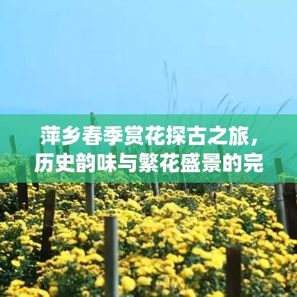 萍鄉(xiāng)春季賞花探古之旅，歷史韻味與繁花盛景的完美結(jié)合