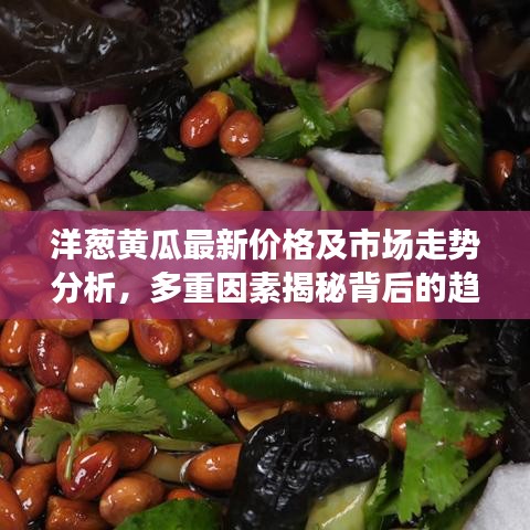 洋蔥黃瓜最新價格及市場走勢分析，多重因素揭秘背后的趨勢影響