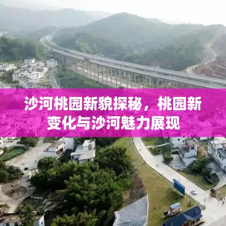 沙河桃園新貌探秘，桃園新變化與沙河魅力展現(xiàn)