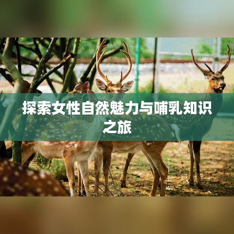 探索女性自然魅力與哺乳知識之旅