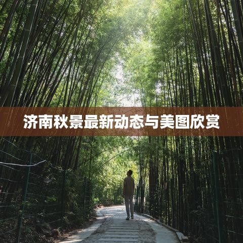 濟南秋景最新動態(tài)與美圖欣賞