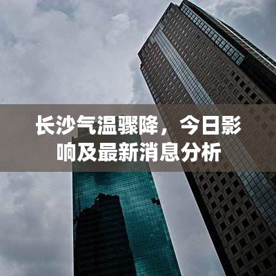 2025年6月11日 第4頁