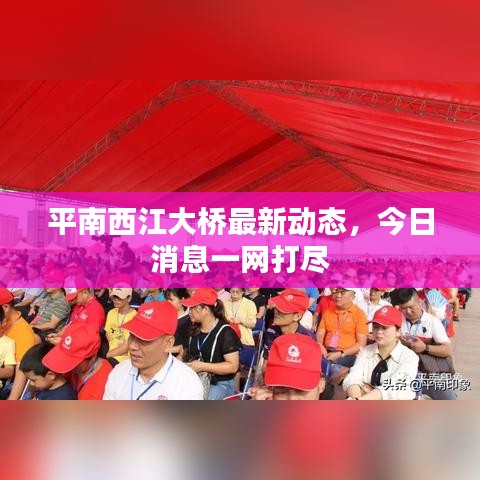 平南西江大橋最新動態(tài)，今日消息一網打盡