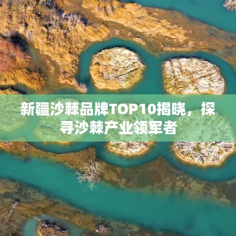 新疆沙棘品牌TOP10揭曉，探尋沙棘產(chǎn)業(yè)領軍者