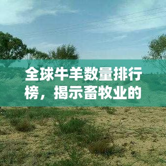 全球牛羊數(shù)量排行榜，揭示畜牧業(yè)的壯闊格局