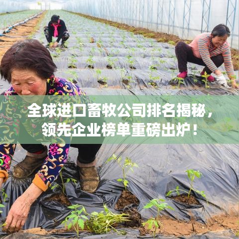 全球進(jìn)口畜牧公司排名揭秘，領(lǐng)先企業(yè)榜單重磅出爐！