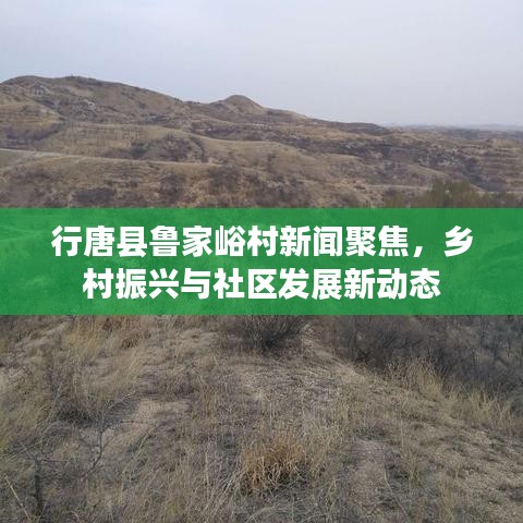 行唐縣魯家峪村新聞聚焦，鄉(xiāng)村振興與社區(qū)發(fā)展新動態(tài)