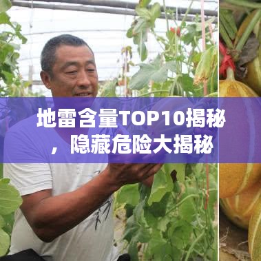 地雷含量TOP10揭秘，隱藏危險大揭秘