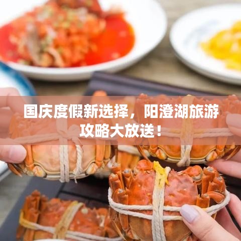 國慶度假新選擇，陽澄湖旅游攻略大放送！