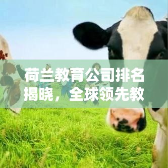荷蘭教育公司排名揭曉，全球領(lǐng)先教育資源一覽