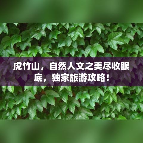 虎竹山，自然人文之美盡收眼底，獨家旅游攻略！