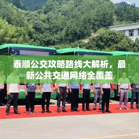 泰順公交攻略路線大解析，最新公共交通網(wǎng)絡全覆蓋