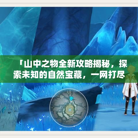 「山中之物全新攻略揭秘，探索未知的自然寶藏，一網(wǎng)打盡！」