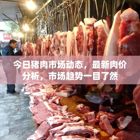 今日豬肉市場動態(tài)，最新肉價分析，市場趨勢一目了然