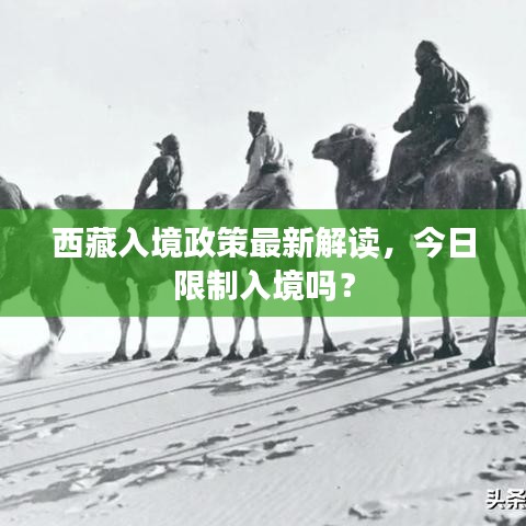 西藏入境政策最新解讀，今日限制入境嗎？