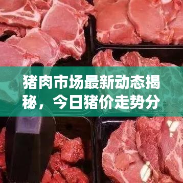 豬肉市場最新動態(tài)揭秘，今日豬價走勢分析及未來展望