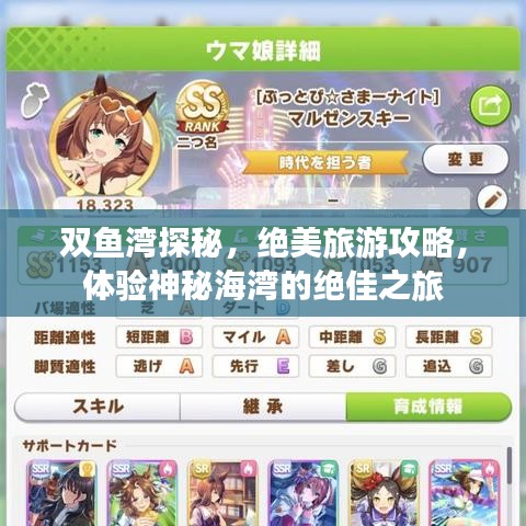 雙魚(yú)灣探秘，絕美旅游攻略，體驗(yàn)神秘海灣的絕佳之旅