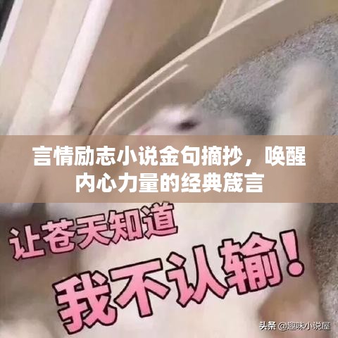 2025年6月12日 第2頁