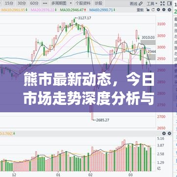 熊市最新動(dòng)態(tài)，今日市場(chǎng)走勢(shì)深度分析與應(yīng)對(duì)策略揭秘