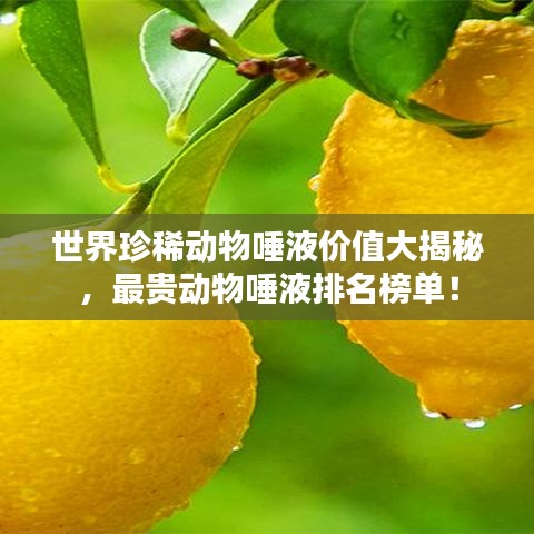 世界珍稀動(dòng)物唾液價(jià)值大揭秘，最貴動(dòng)物唾液排名榜單！