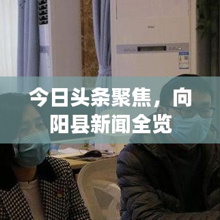 今日頭條聚焦，向陽(yáng)縣新聞全覽