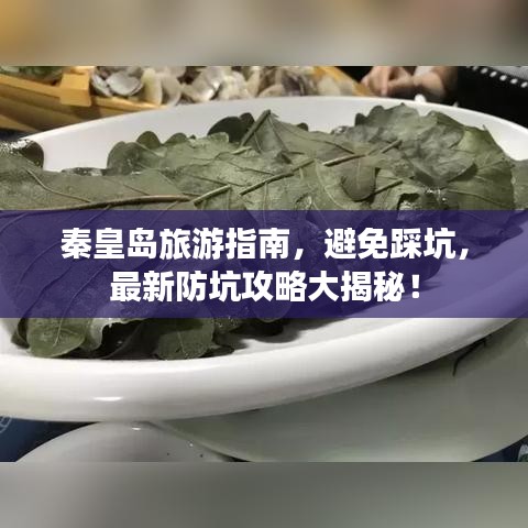 秦皇島旅游指南，避免踩坑，最新防坑攻略大揭秘！