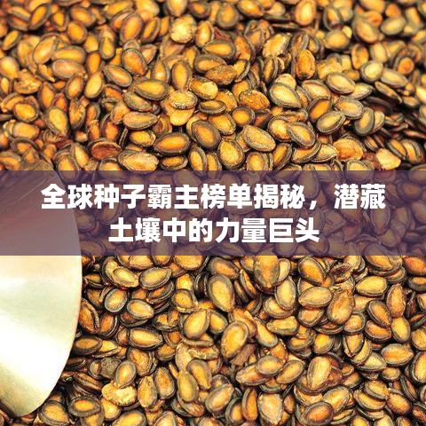 全球種子霸主榜單揭秘，潛藏土壤中的力量巨頭