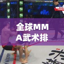 全球MMA武術(shù)排名揭秘，探尋武術(shù)巔峰之道