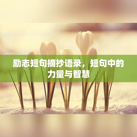 勵(lì)志短句摘抄語(yǔ)錄，短句中的力量與智慧