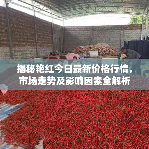 揭秘艷紅今日最新價(jià)格行情，市場(chǎng)走勢(shì)及影響因素全解析