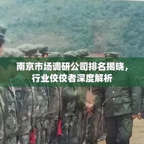 南京市場(chǎng)調(diào)研公司排名揭曉，行業(yè)佼佼者深度解析
