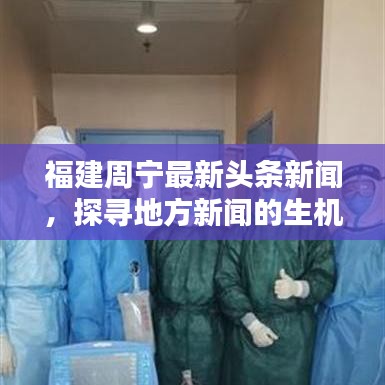 福建周寧最新頭條新聞，探尋地方新聞的生機(jī)與活力