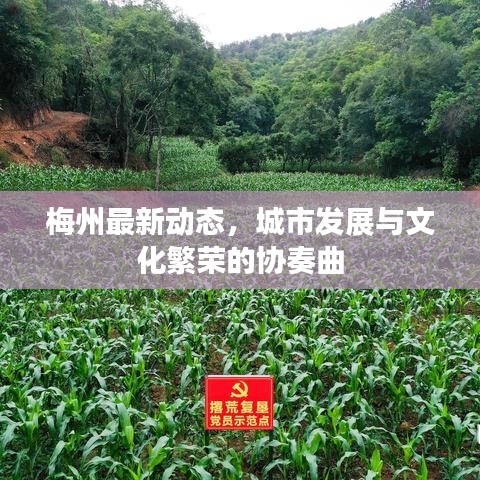 梅州最新動(dòng)態(tài)，城市發(fā)展與文化繁榮的協(xié)奏曲