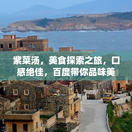 紫菜湯，美食探索之旅，口感絕佳，百度帶你品味美味！