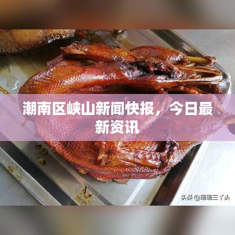 潮南區(qū)峽山新聞快報，今日最新資訊