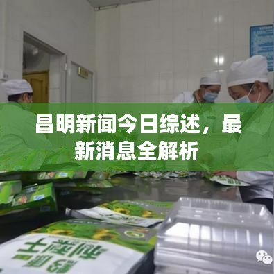 昌明新聞今日綜述，最新消息全解析