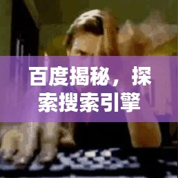 百度揭秘，探索搜索引擎巨頭的新動態(tài)今日必看！
