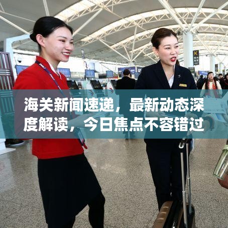 海關(guān)新聞速遞，最新動(dòng)態(tài)深度解讀，今日焦點(diǎn)不容錯(cuò)過