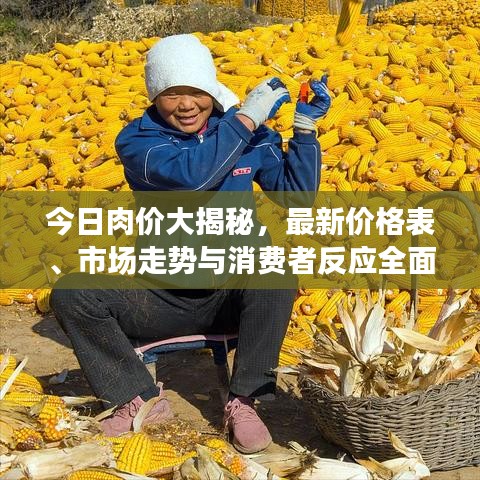 今日肉價大揭秘，最新價格表、市場走勢與消費者反應(yīng)全面解讀