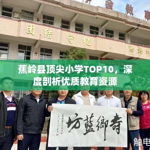 蕉嶺縣頂尖小學(xué)TOP10，深度剖析優(yōu)質(zhì)教育資源