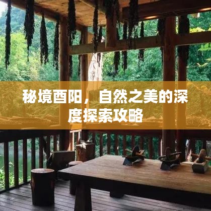 秘境酉陽，自然之美的深度探索攻略