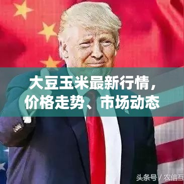 大豆玉米最新行情，價格走勢、市場動態(tài)及影響因素深度解析